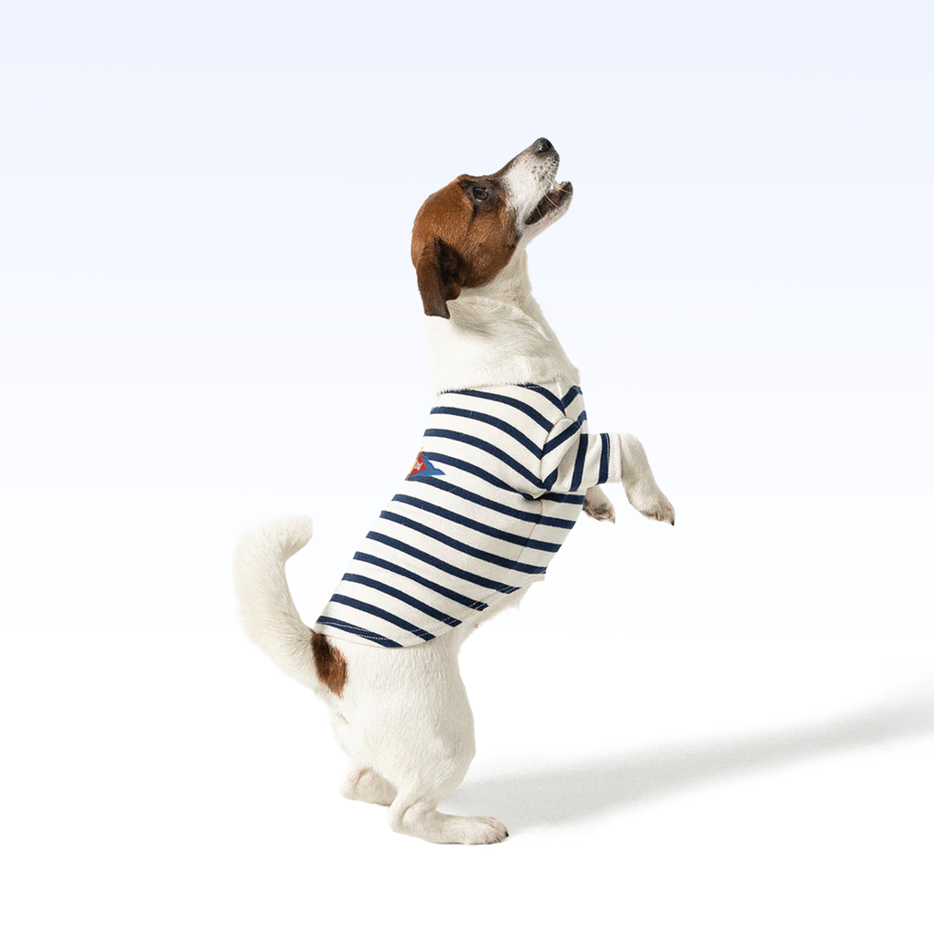 BBYC_PARISIAN PUP SHIRT